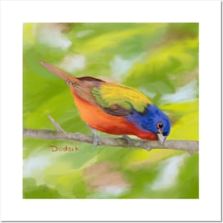 Painted Bunting painted by me Posters and Art